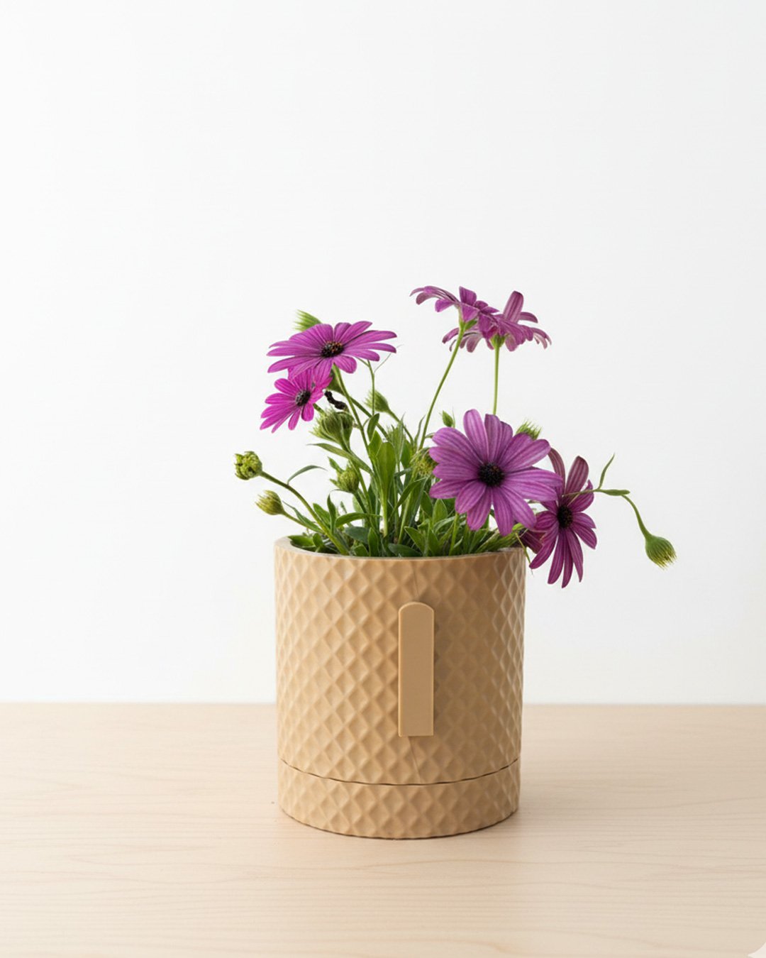 Maceta Rombo