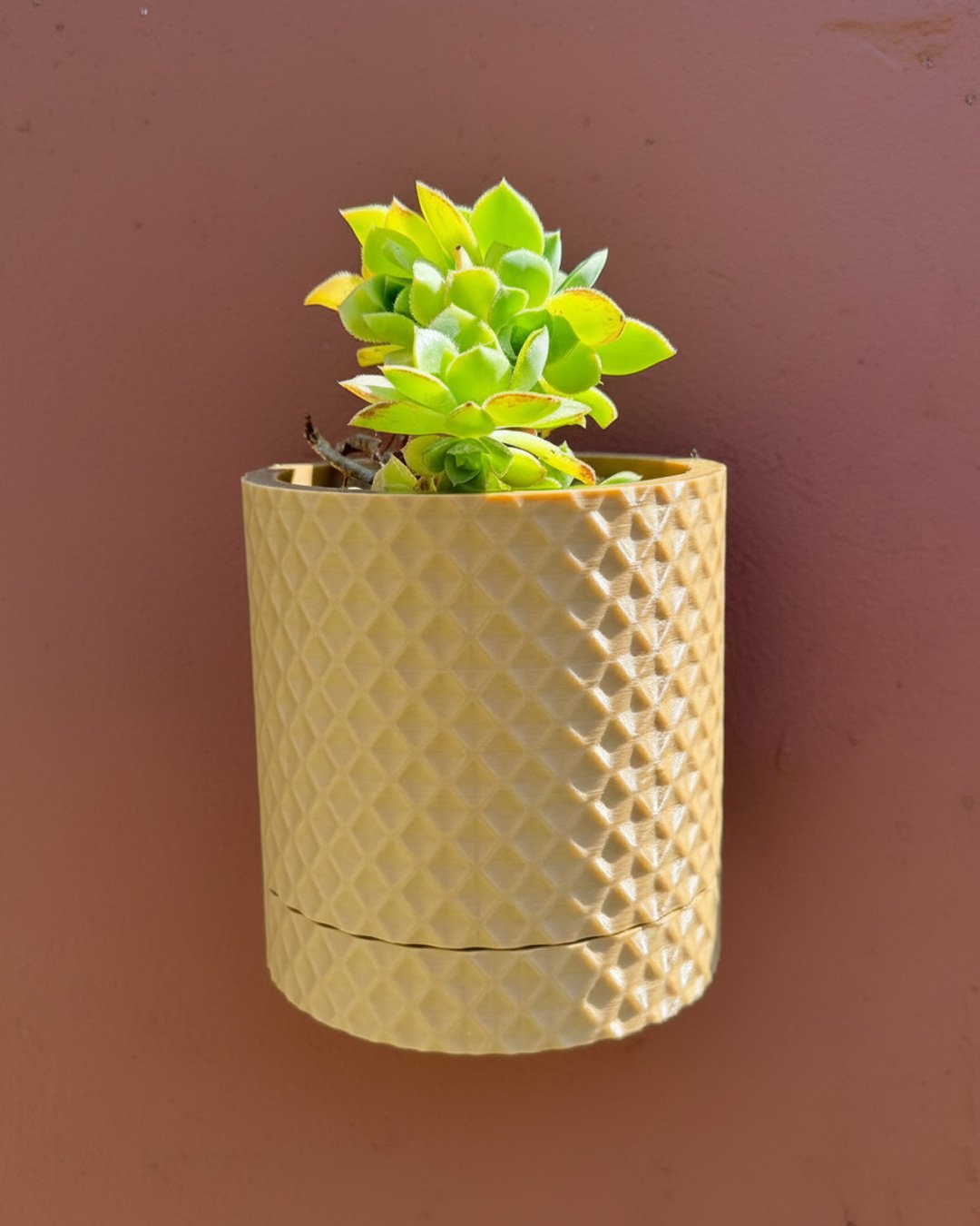 Maceta Rombo